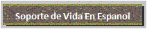 Soporte de Vida en Espanol